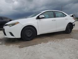 Salvage cars for sale at West Palm Beach, FL auction: 2016 Toyota Corolla L