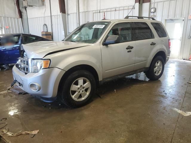 2009 Ford Escape XLT