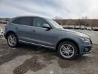 2014 Audi Q5 TDI Premium Plus