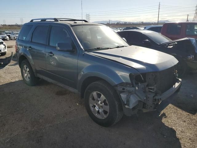 2011 Ford Escape Limited