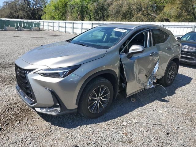 2022 Lexus NX 250