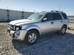 2010 Ford Escape XLT en venta en Cahokia Heights, IL