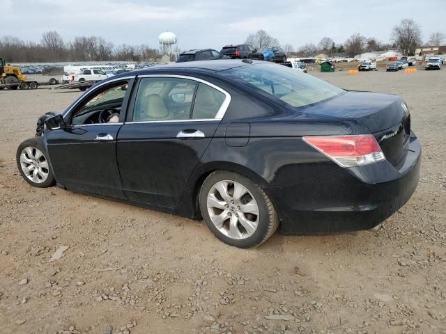 2010 Honda Accord EXL