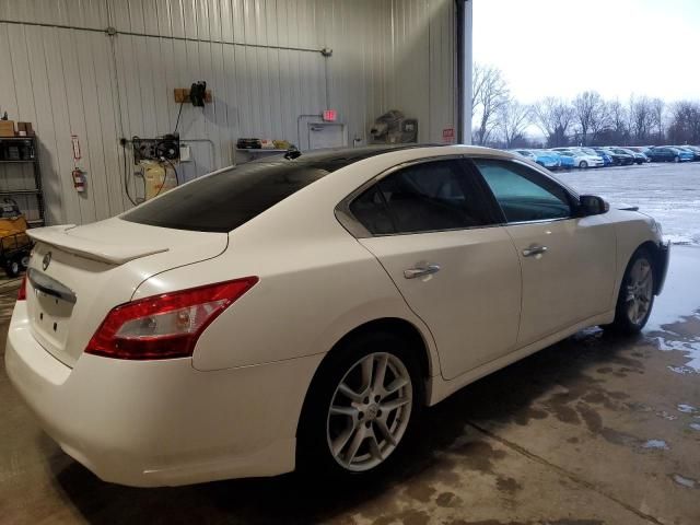 2010 Nissan Maxima S