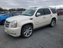 Cadillac salvage cars for sale: 2008 Cadillac Escalade Luxury