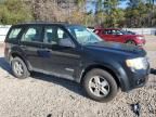 2008 Ford Escape XLS