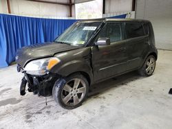 Salvage cars for sale at Hurricane, WV auction: 2010 KIA Soul +