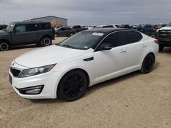 Salvage cars for sale at Amarillo, TX auction: 2012 KIA Optima LX