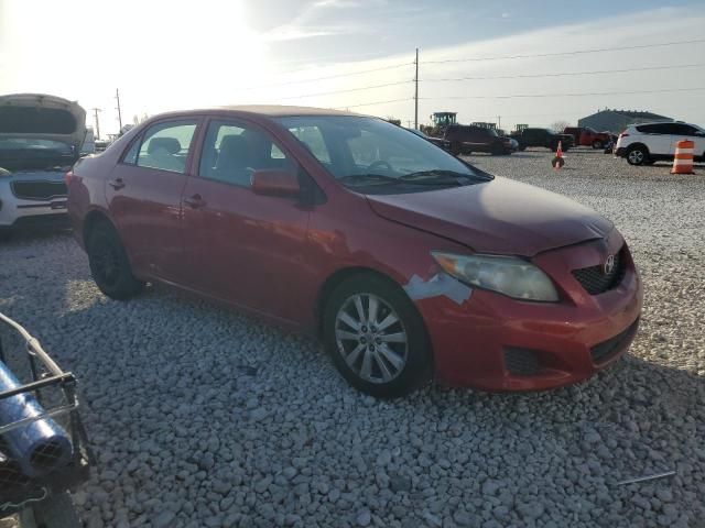 2009 Toyota Corolla Base