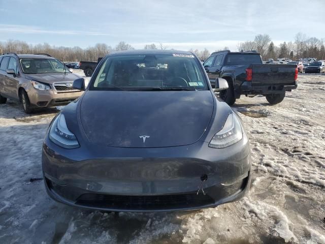 2020 Tesla Model Y