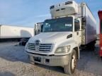 2006 Hino 268 Refrigerated Truck