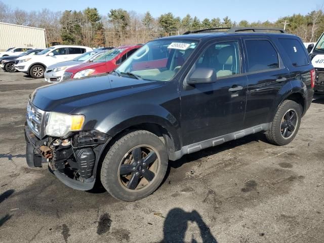 2011 Ford Escape XLT