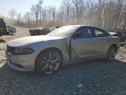 Salvage cars for sale at Waldorf, MD auction: 2015 Dodge Charger R/T