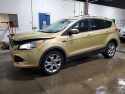 Salvage cars for sale at Blaine, MN auction: 2014 Ford Escape Titanium