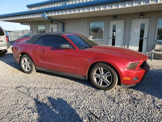 2010 Ford Mustang