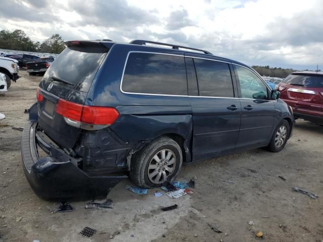 2010 Honda Odyssey EXL