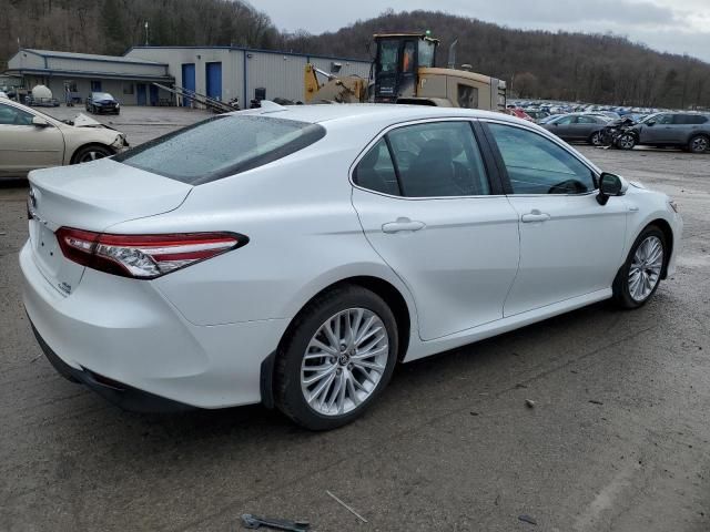 2019 Toyota Camry Hybrid