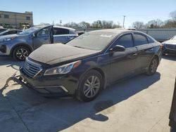 Salvage cars for sale at Wilmer, TX auction: 2016 Hyundai Sonata SE