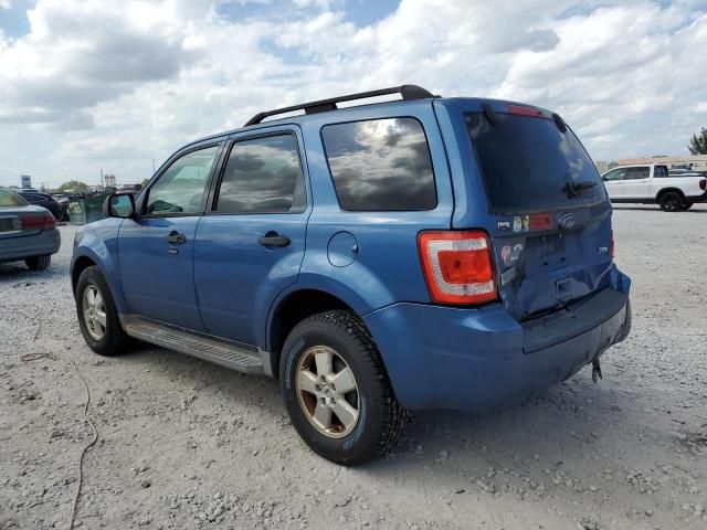 2010 Ford Escape XLT