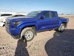 Salvage cars for sale at Phoenix, AZ auction: 2024 Toyota Tacoma Double Cab