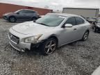 2010 Nissan Maxima S