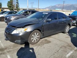 Salvage cars for sale from Copart Rancho Cucamonga, CA: 2010 Toyota Camry Base