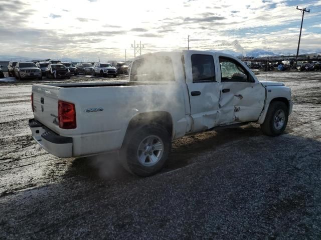 2009 Dodge Dakota SXT