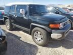 2007 Toyota FJ Cruiser