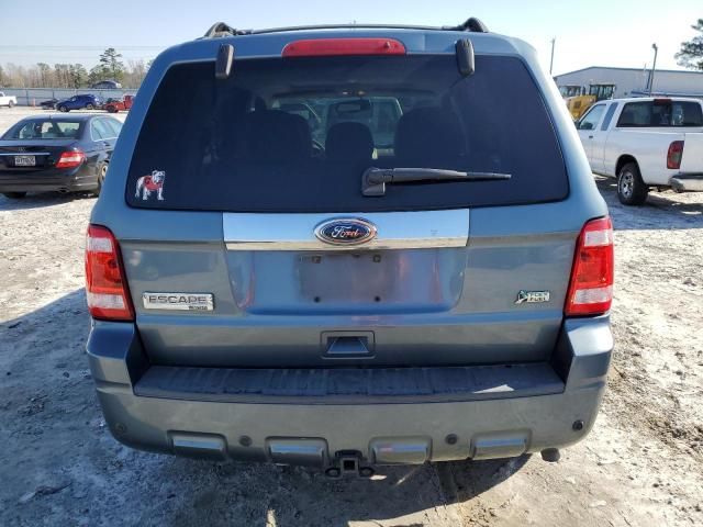 2010 Ford Escape Limited