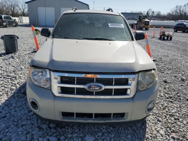 2009 Ford Escape XLT