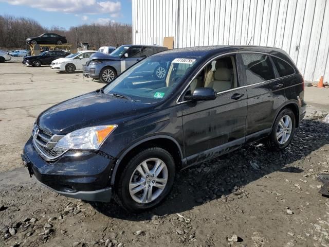 2010 Honda CR-V EXL