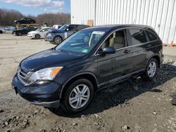 Salvage cars for sale at Windsor, NJ auction: 2010 Honda CR-V EXL