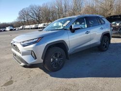 Salvage cars for sale at Glassboro, NJ auction: 2024 Toyota Rav4 XLE