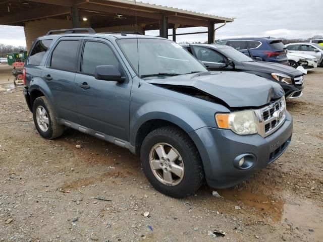 2010 Ford Escape XLT