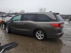 2019 Honda Odyssey EXL