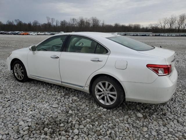 2010 Lexus ES 350