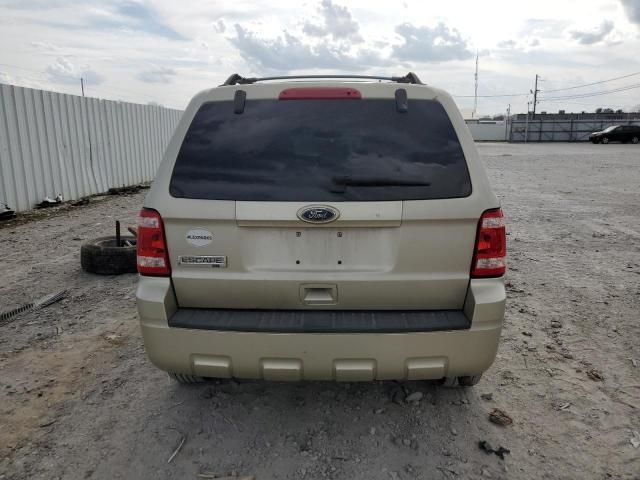 2010 Ford Escape XLT