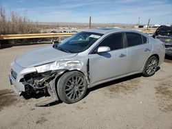 Salvage cars for sale at Albuquerque, NM auction: 2013 Nissan Maxima S