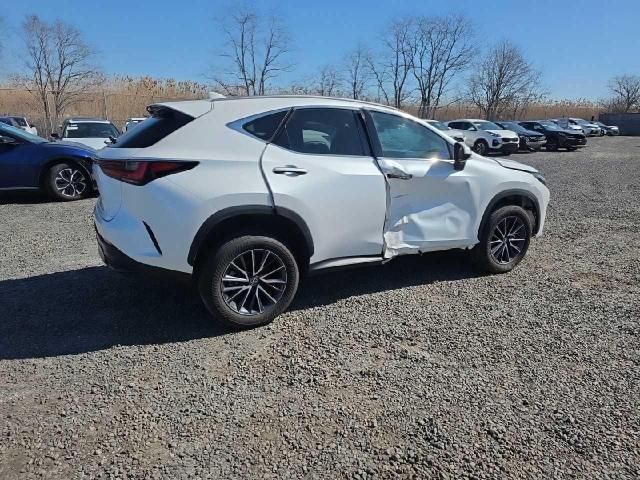 2024 Lexus NX 350 Premium