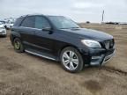 2014 Mercedes-Benz ML 350 Bluetec