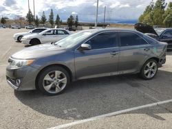 Salvage cars for sale at Rancho Cucamonga, CA auction: 2013 Toyota Camry SE