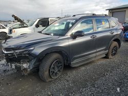 Salvage cars for sale at Eugene, OR auction: 2023 Honda CR-V LX