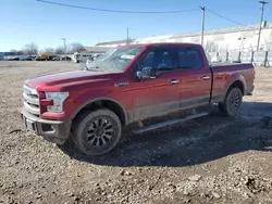 Salvage cars for sale at Franklin, WI auction: 2016 Ford F150 Supercrew