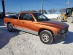 2000 Dodge Dakota