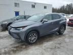 2020 Lexus NX 300