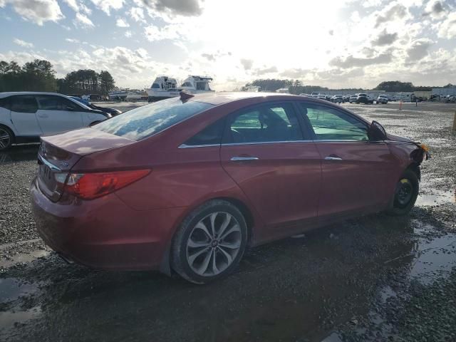 2013 Hyundai Sonata SE