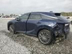 2024 Lexus RX 350 Base