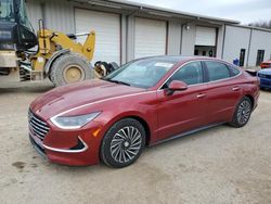 Carros salvage a la venta en subasta: 2023 Hyundai Sonata Hybrid