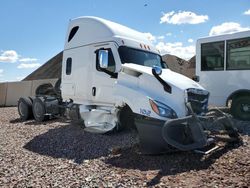 Salvage trucks for sale at Phoenix, AZ auction: 2023 Freightliner Cascadia 126