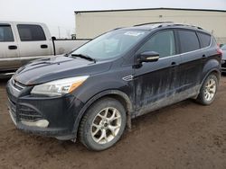 Salvage cars for sale at Rocky View County, AB auction: 2013 Ford Escape Titanium